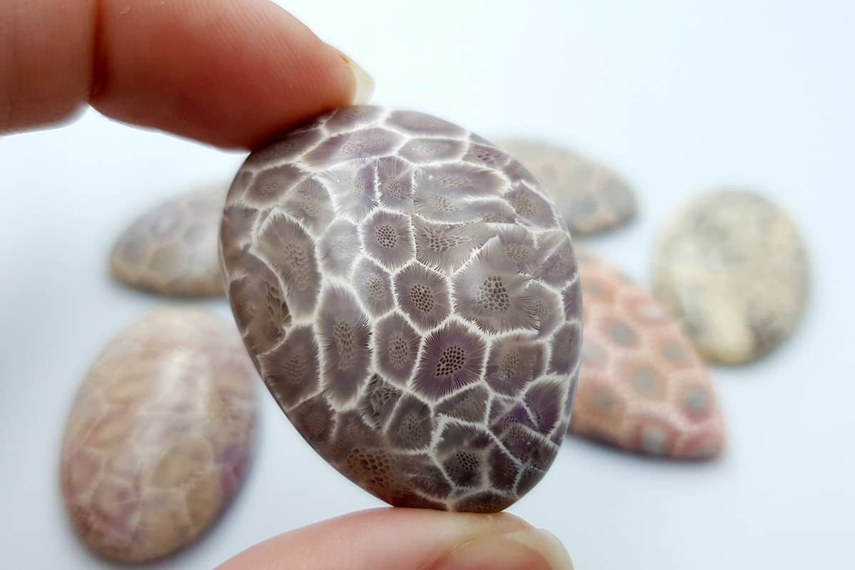 6 cabochons Faux Petoskey Stone from Polymer Clay (6782)