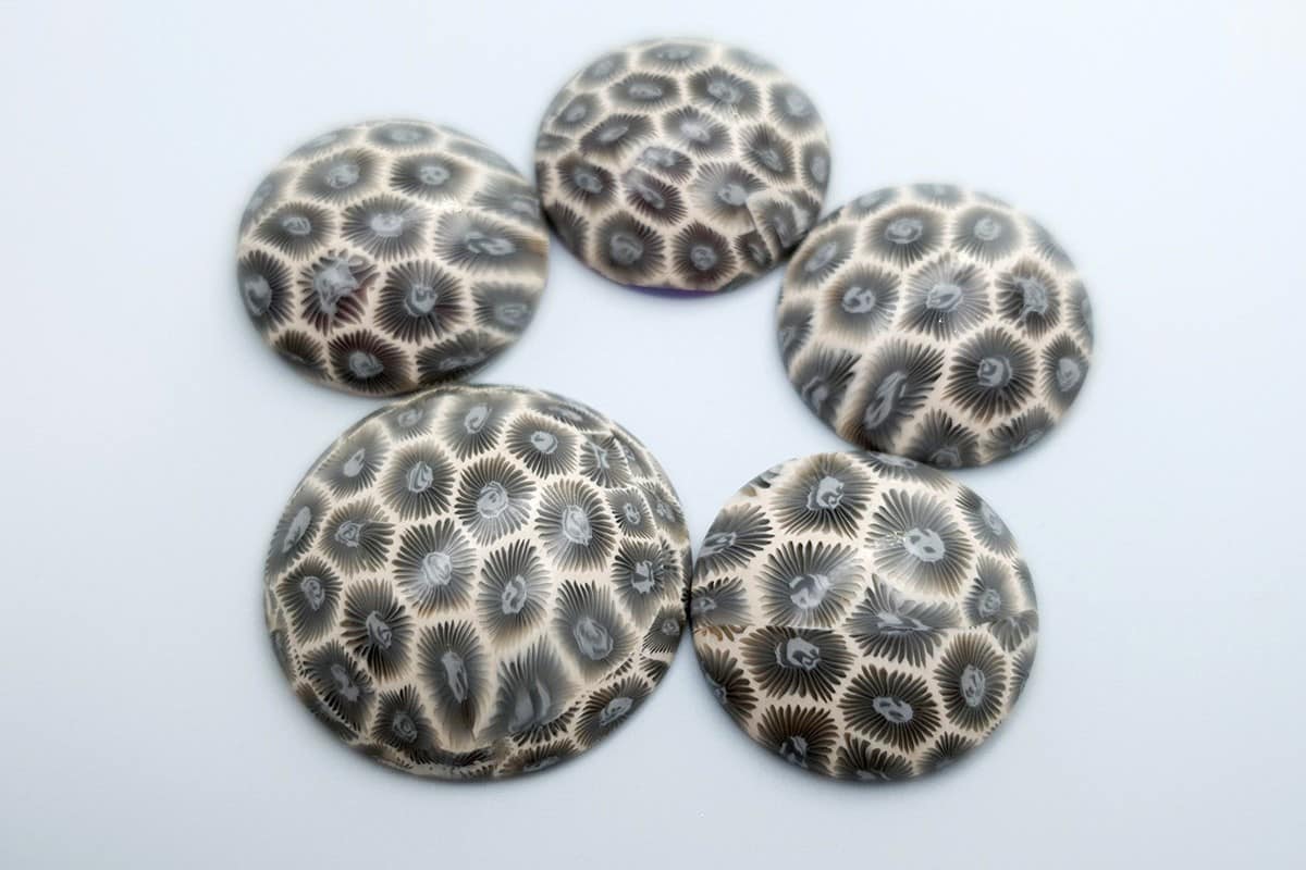 5 cabochons faux petoskey stones from polymer clay #6784