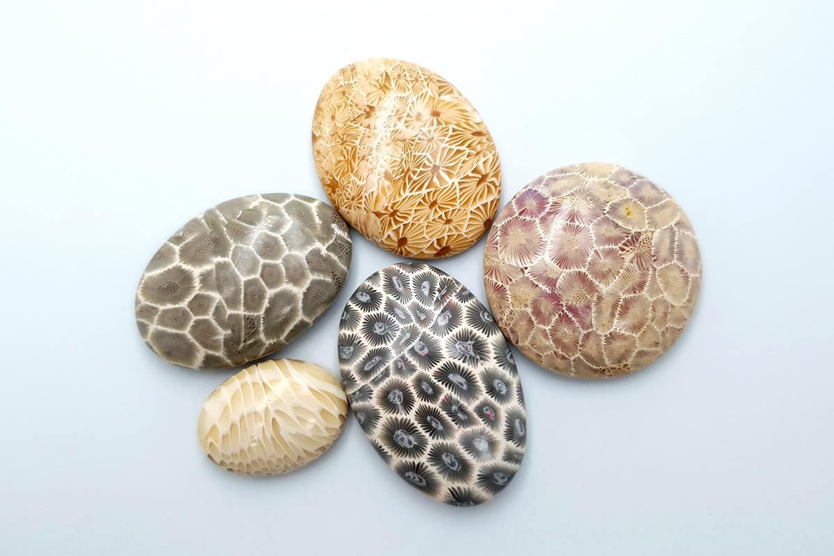 5 cabochons Faux Petoskey Stone, Polymer Clay (6799)
