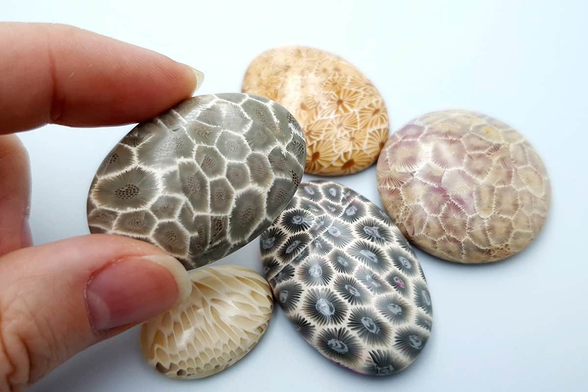 5 cabochons Faux Petoskey Stone, Polymer Clay (6800)