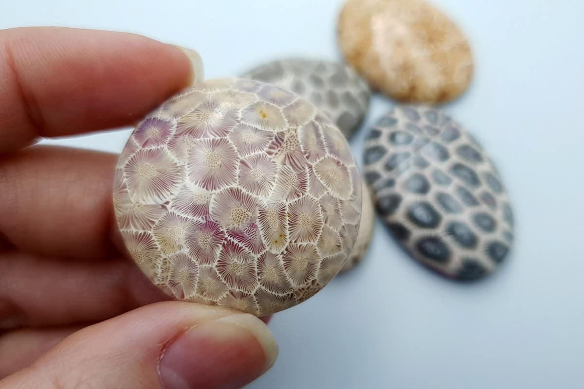 5 cabochons Faux Petoskey Stone, Polymer Clay (6801)