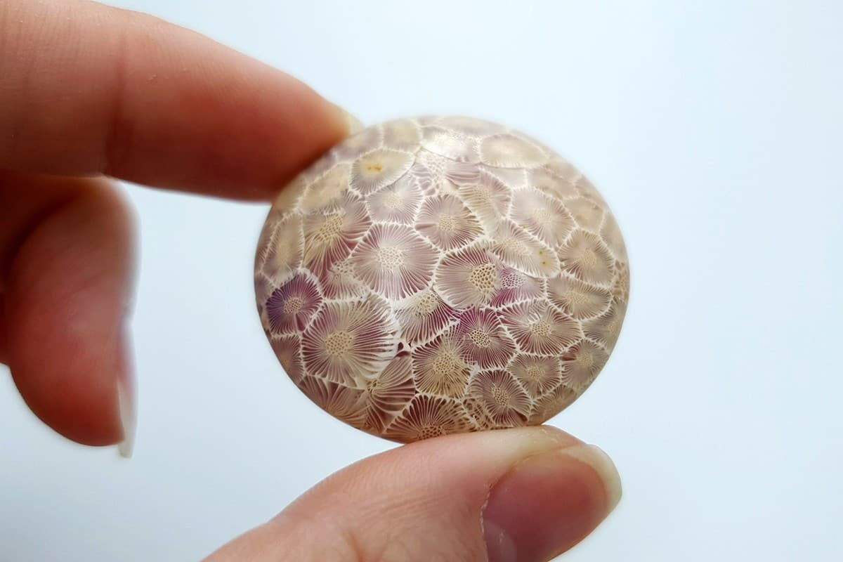 5 cabochons Faux Petoskey Stone, Polymer Clay (6802)