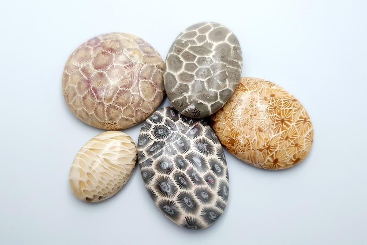 5 cabochons Faux Petoskey Stone, Polymer Clay (6803)