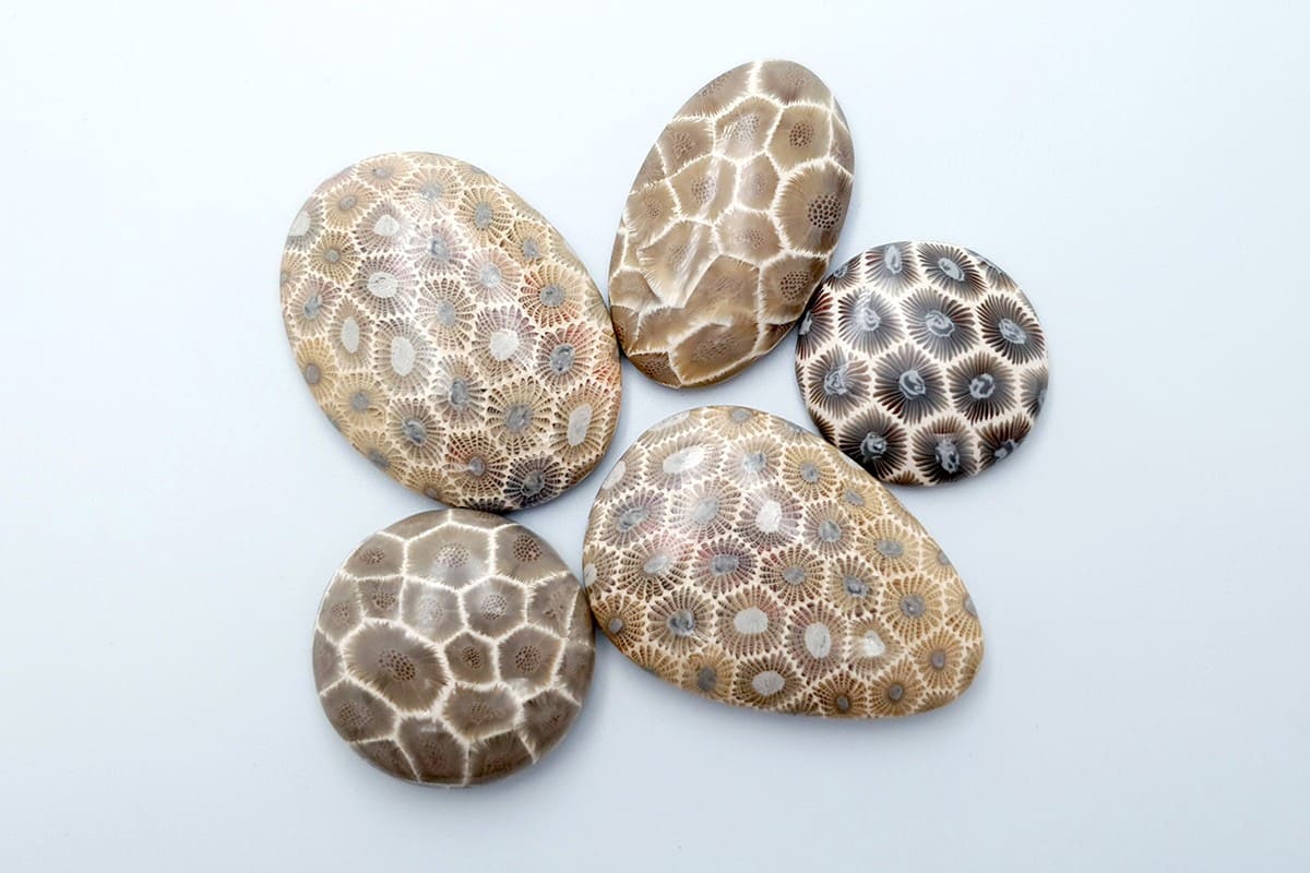 5 cabochons, Faux Petoskey Stone, Polymer Clay (#1) #6804