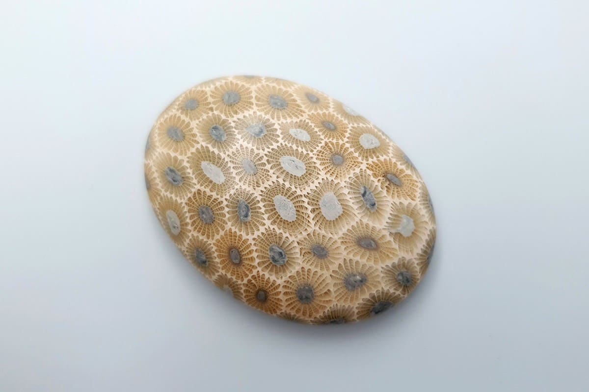 Cabochons Faux Petoskey Stone from Polymer Clay #7 #6817