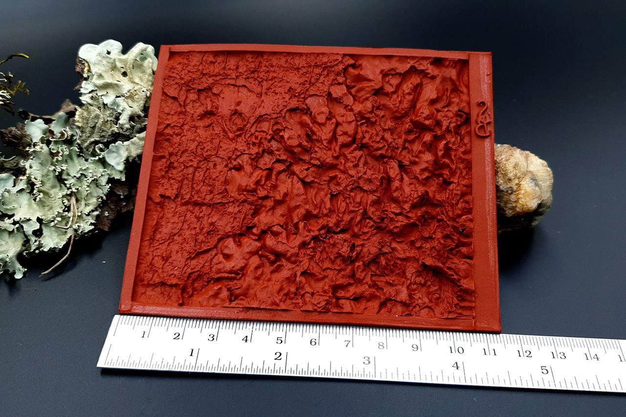 Silicone Texture Forest Lichens - 115x100mm (10508)