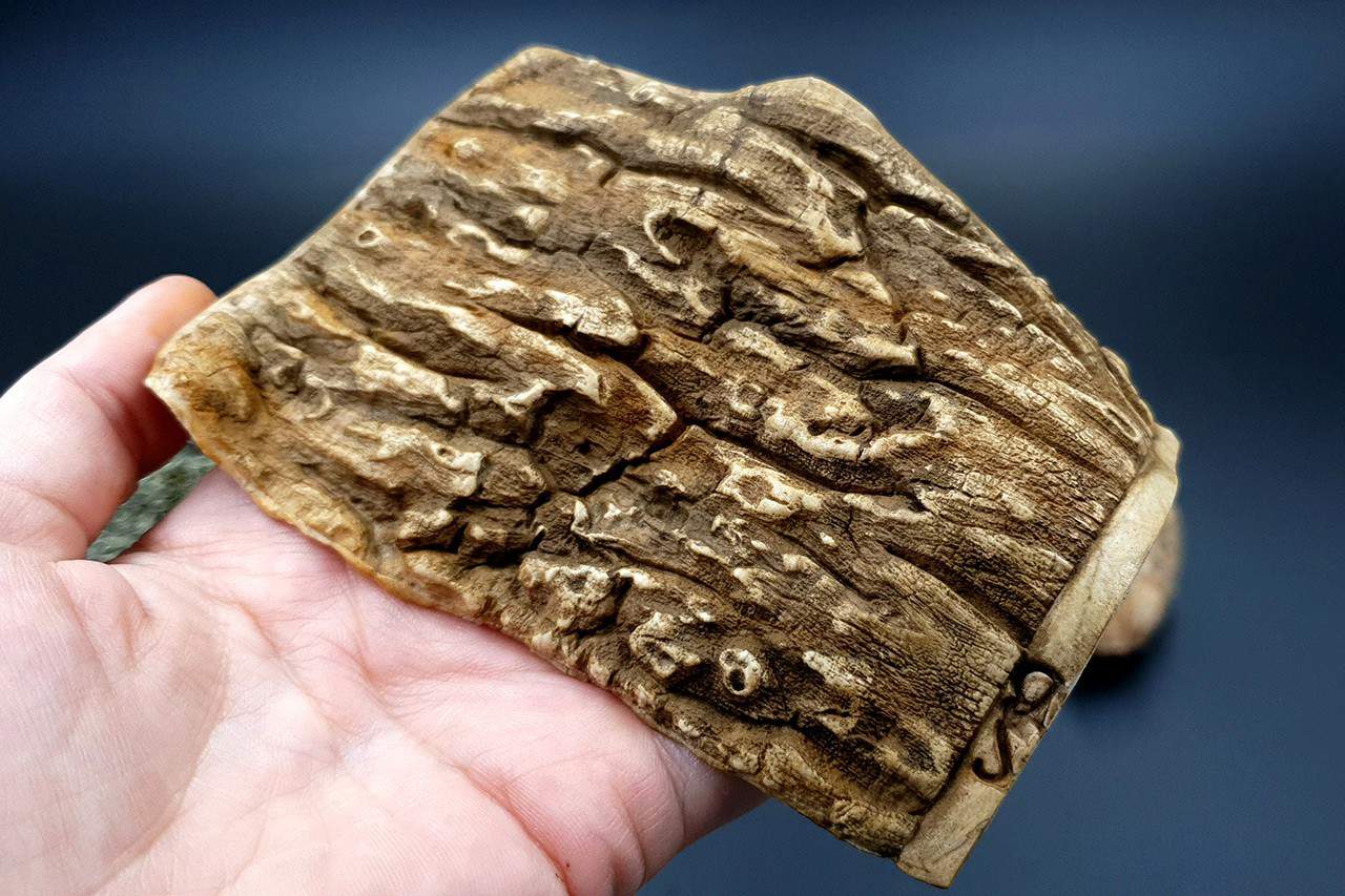 Silicone Texture Drift Wood #3 - 120x80mm (10572)