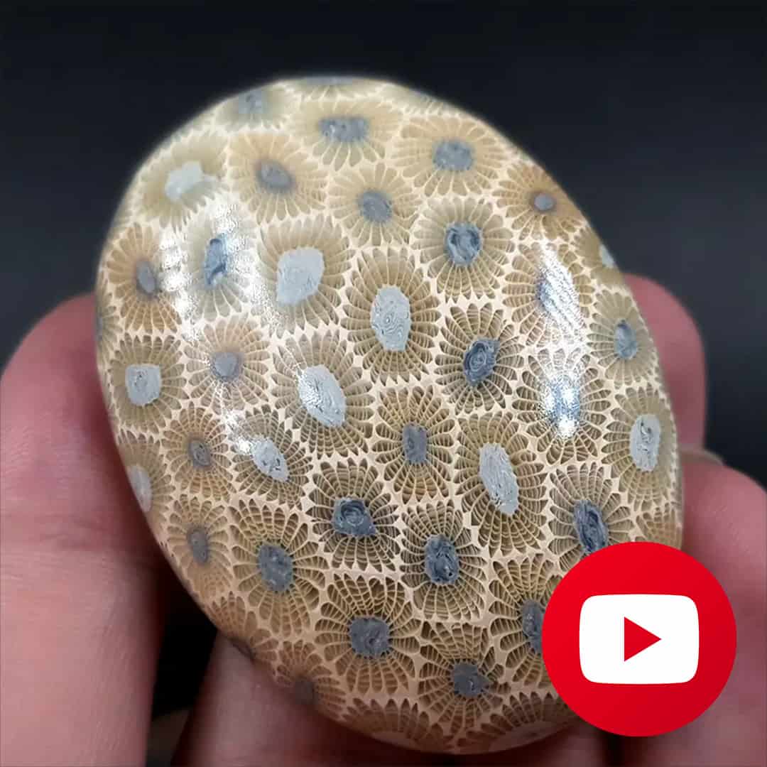 Super Realistic Petoskey stone imitation (27031)